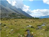 Dösner Alm - Säuleck